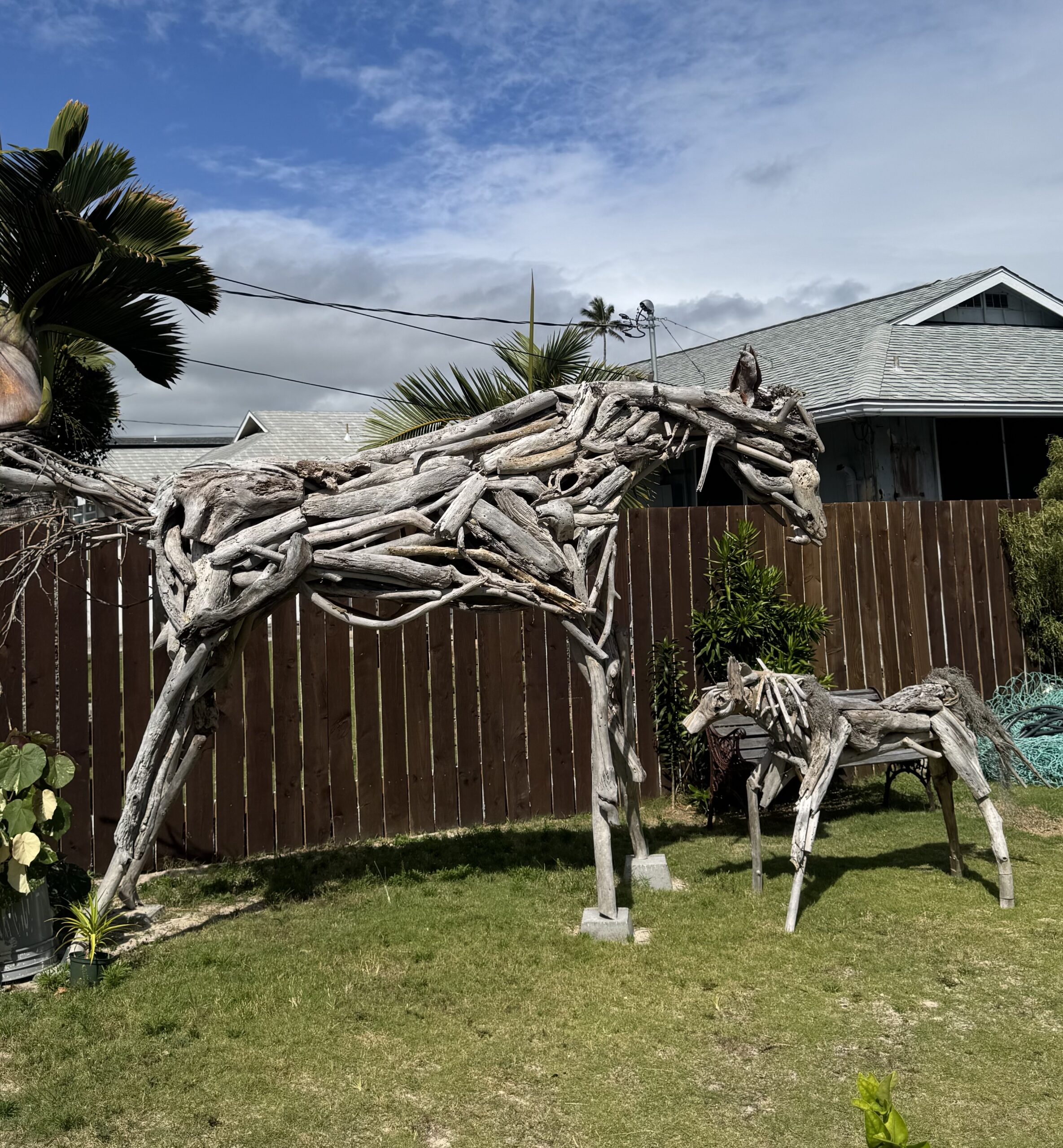 THE MARE AND HER BABY