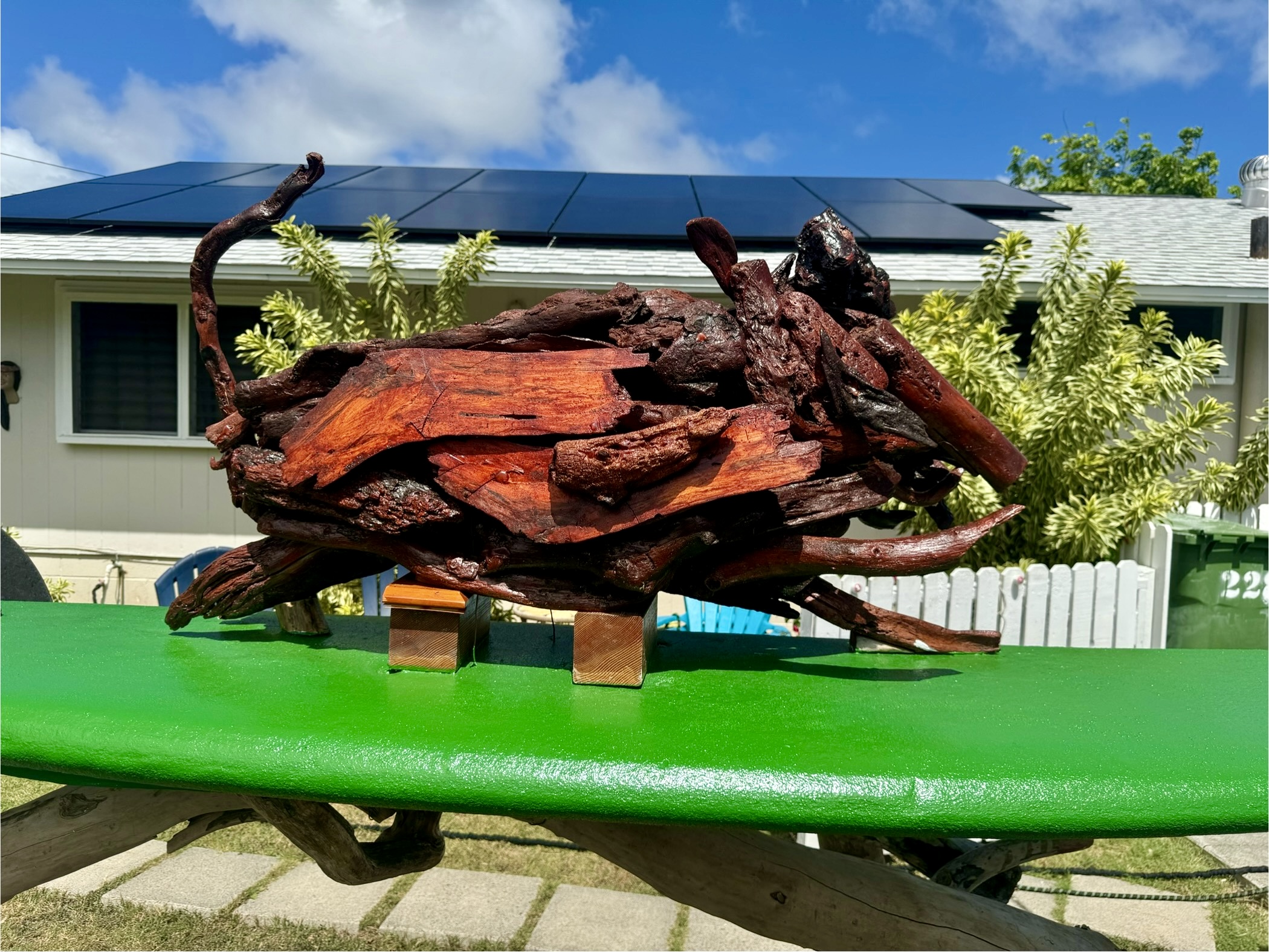 WILD BOAR GOING SURFING