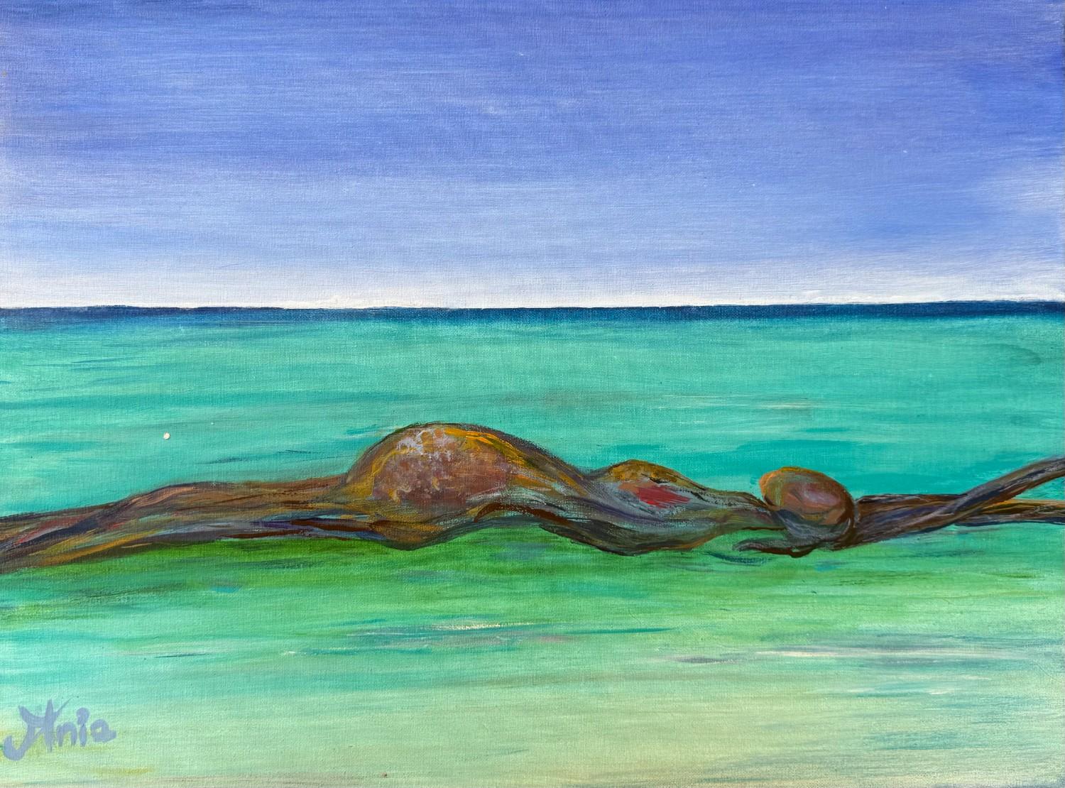 Waves Of Expectation - 24 W x 18 H x 1 inch s , acrylic on canvas